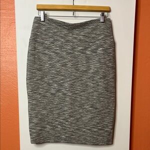 LuLaRoe Gray Women's Skirt